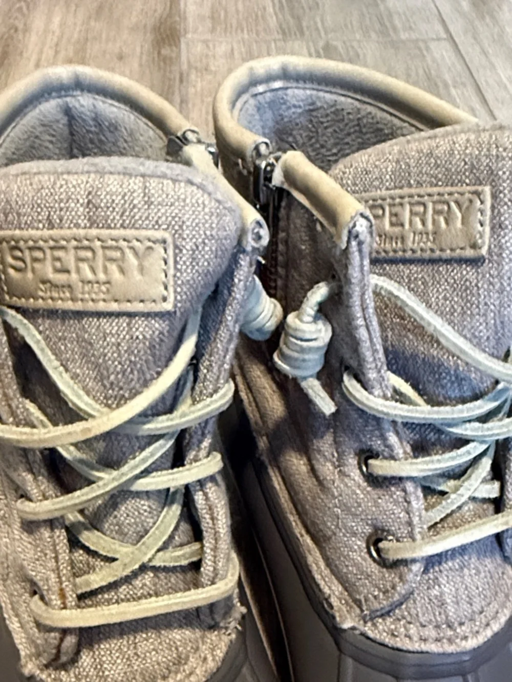 Sperry note model
